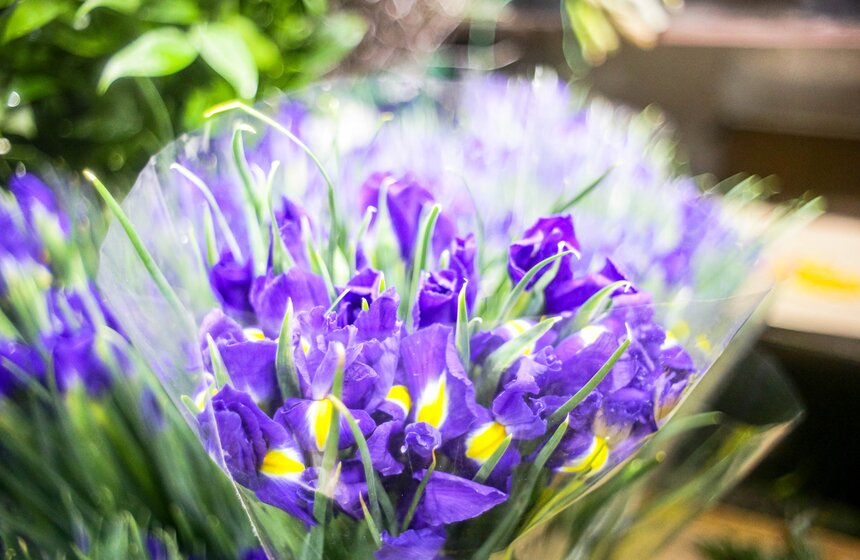 Количество покупок цветов в преддверии 8 Марта уменьшилось в РФ на 3% 16 фото