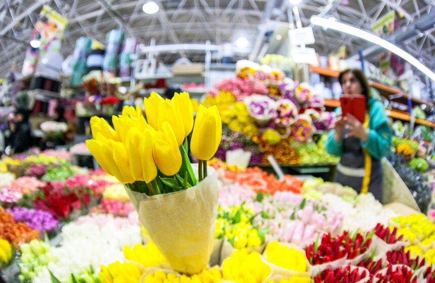 Количество покупок цветов в преддверии 8 Марта уменьшилось в РФ на 3% 14 фото