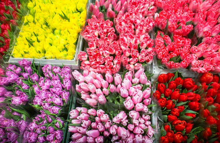 Количество покупок цветов в преддверии 8 Марта уменьшилось в РФ на 3% 4 фото