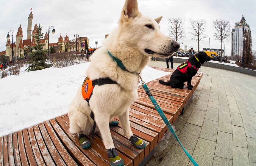 Выставка коммунальной и спасательной техники открылась в "Острове Мечты" 9 фото