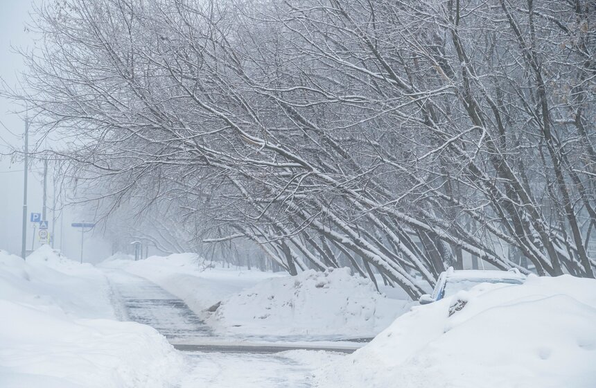 Морозный туман окутал Москву 8 марта 2 фото