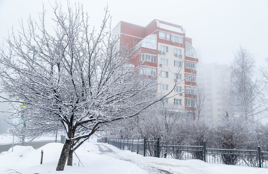 Морозный туман окутал Москву 8 марта 8 фото