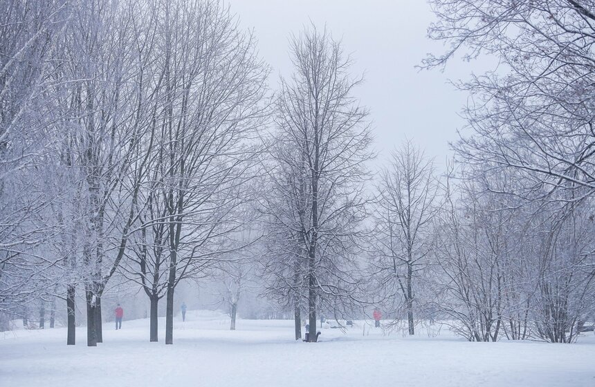 Морозный туман окутал Москву 8 марта 17 фото