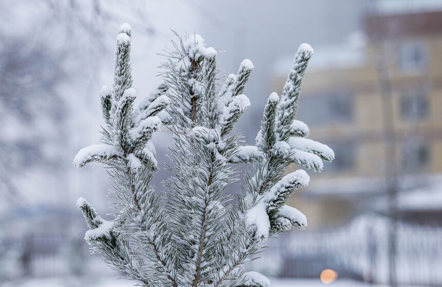 Морозный туман окутал Москву 8 марта 4 фото