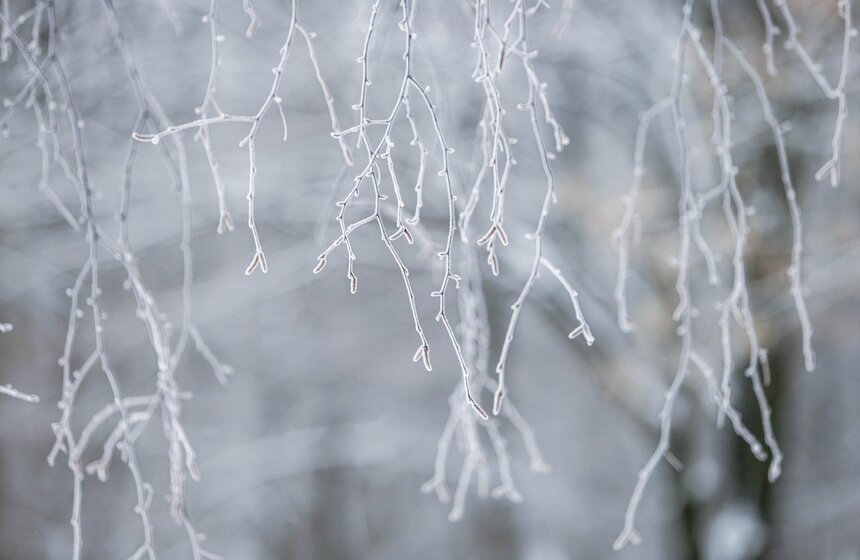 Морозный туман окутал Москву 8 марта 18 фото