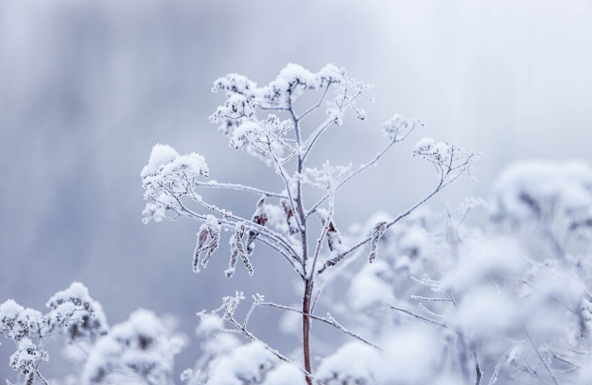 Морозный туман окутал Москву 8 марта 9 фото