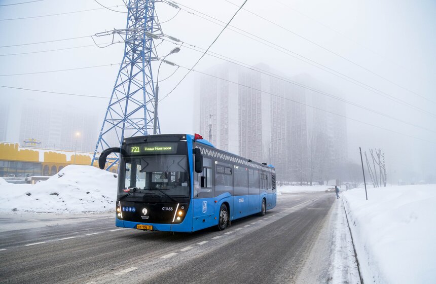Морозный туман окутал Москву 8 марта 11 фото