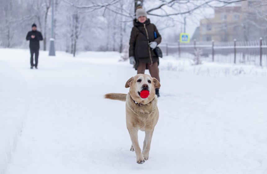 Морозный туман окутал Москву 8 марта 5 фото
