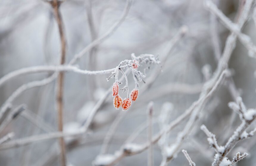 Морозный туман окутал Москву 8 марта 21 фото