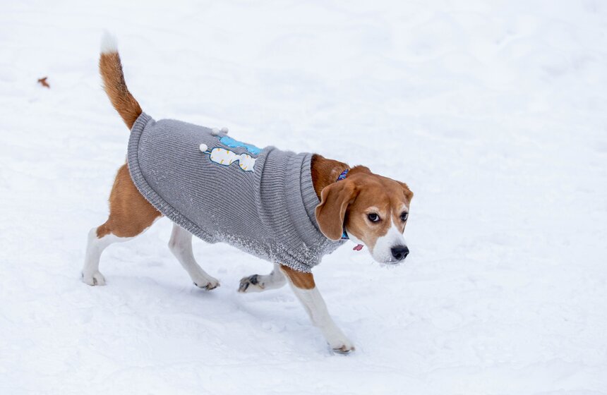 Морозный туман окутал Москву 8 марта 7 фото