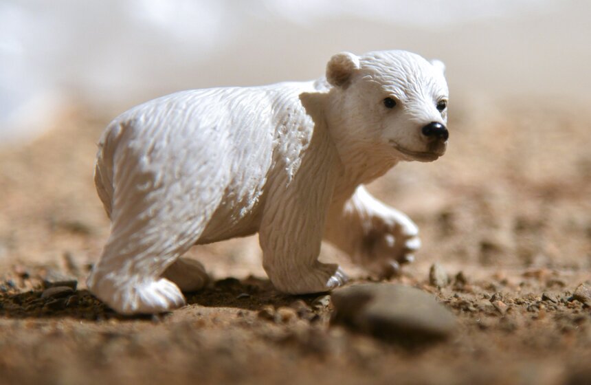 Выставка Biblio Nordica стартовала в Московском музее современного искусства 7 фото