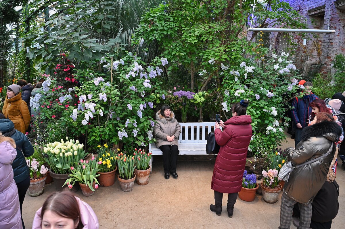 аптекарский огород китайский новый. аптекарский огород сакура. аптекарский огород тюльпаны. санта бразилия аптекарский огород. аптекарский огород китайский новый.