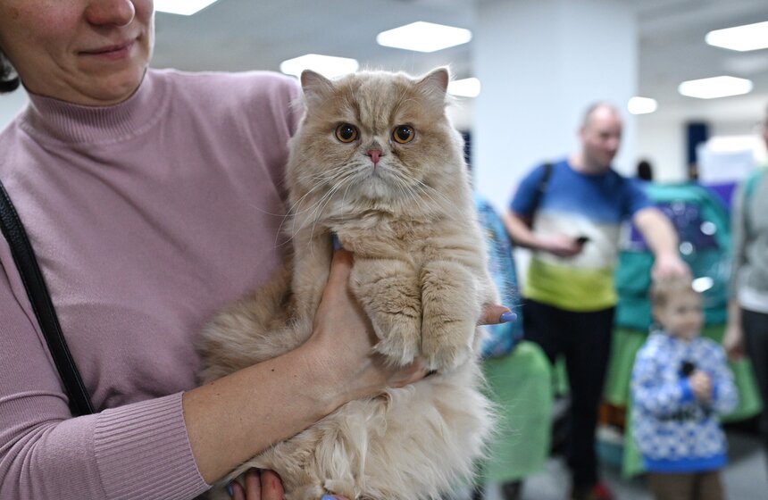 Выставка "ЗооПалитра" состоялась в Москве 18 фото