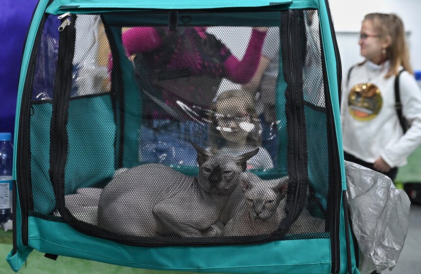 Выставка "ЗооПалитра" состоялась в Москве 5 фото