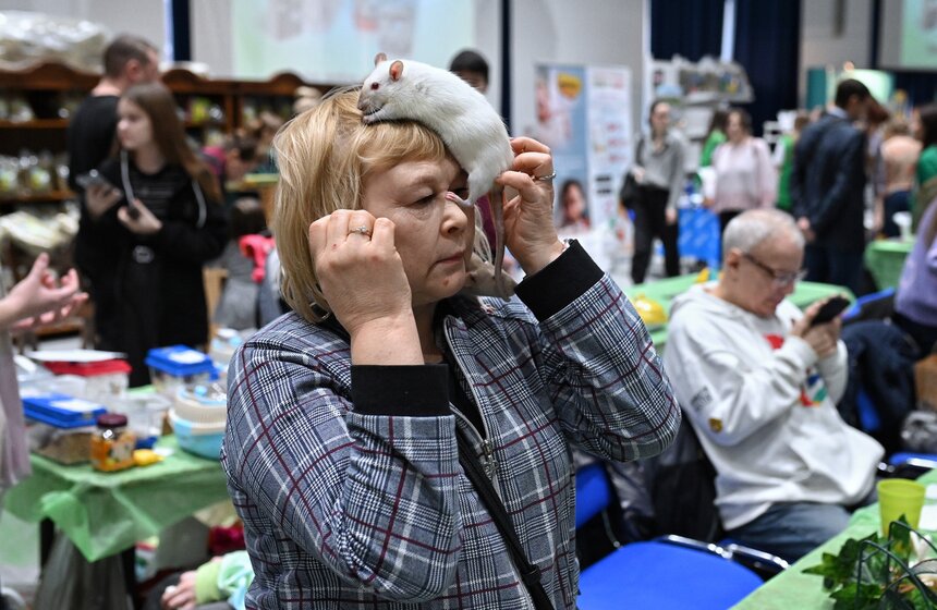 Выставка "ЗооПалитра" состоялась в Москве 16 фото