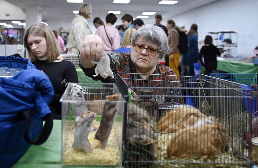 Выставка "ЗооПалитра" состоялась в Москве 12 фото