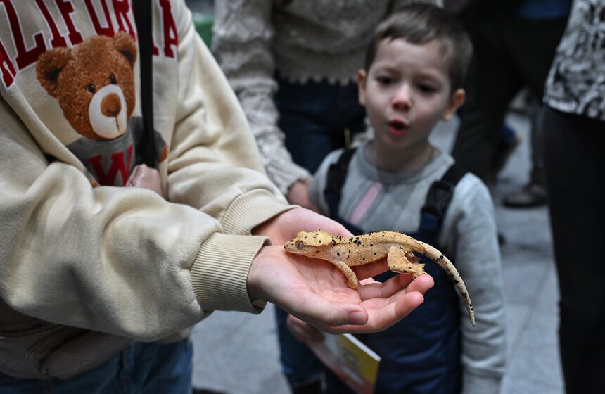 Выставка "ЗооПалитра" состоялась в Москве 10 фото
