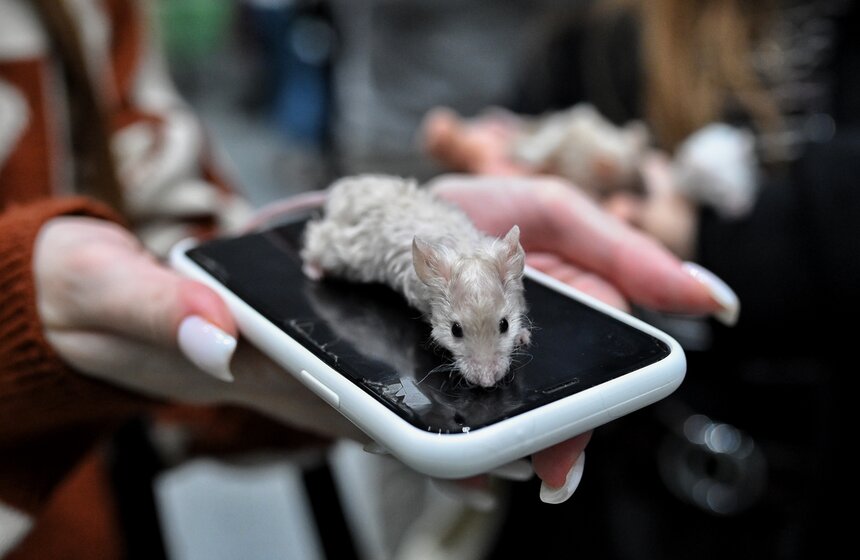 Выставка "ЗооПалитра" состоялась в Москве 7 фото