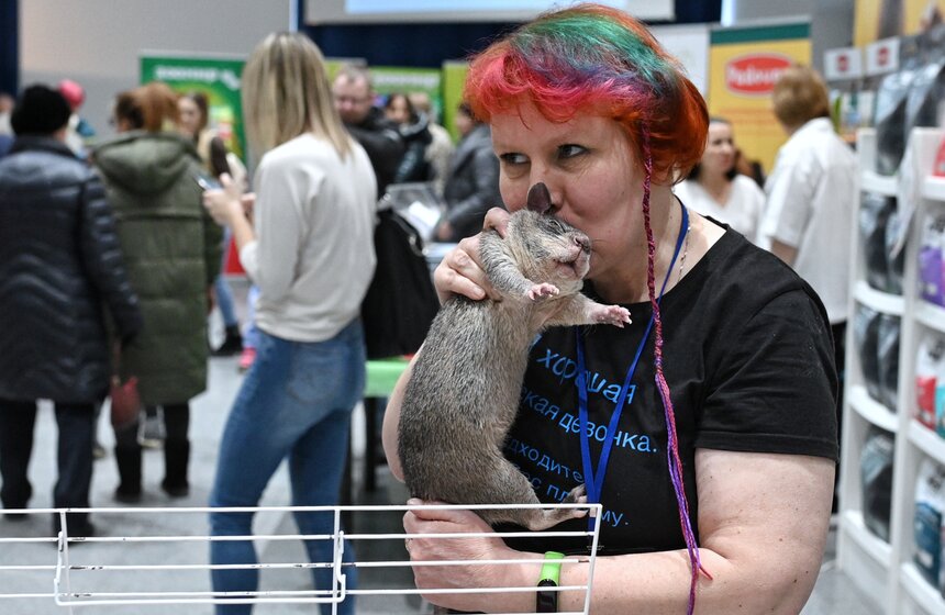 Выставка "ЗооПалитра" состоялась в Москве 2 фото