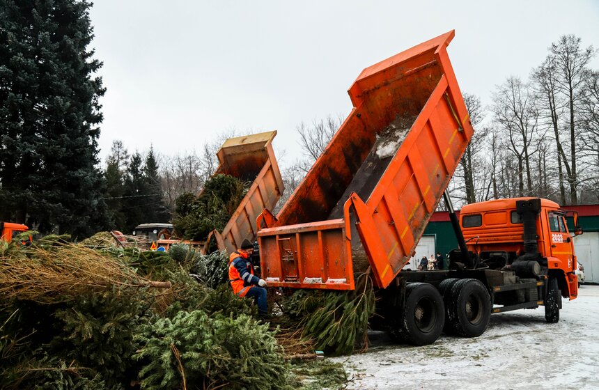 Акция "Елочный круговорот" проходит в Москве в восьмой раз 16 фото