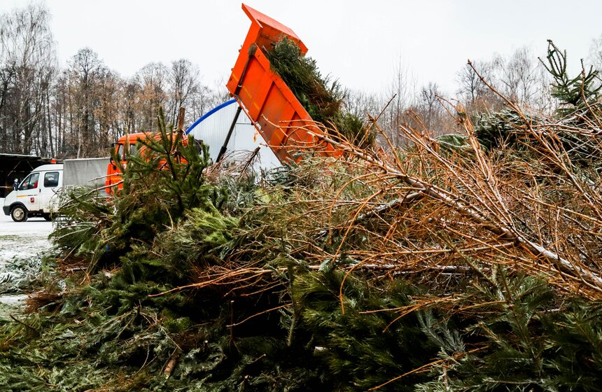 Акция "Елочный круговорот" проходит в Москве в восьмой раз 3 фото