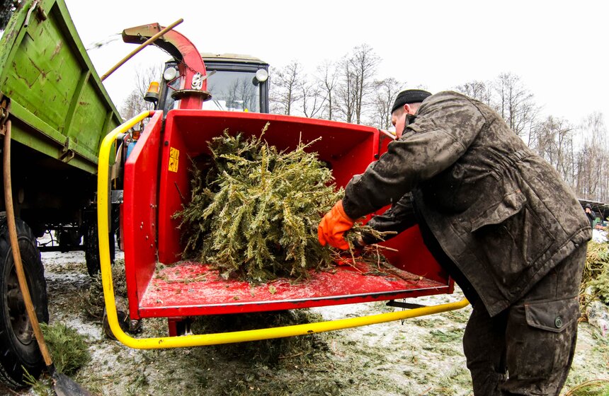 Акция "Елочный круговорот" проходит в Москве в восьмой раз 20 фото