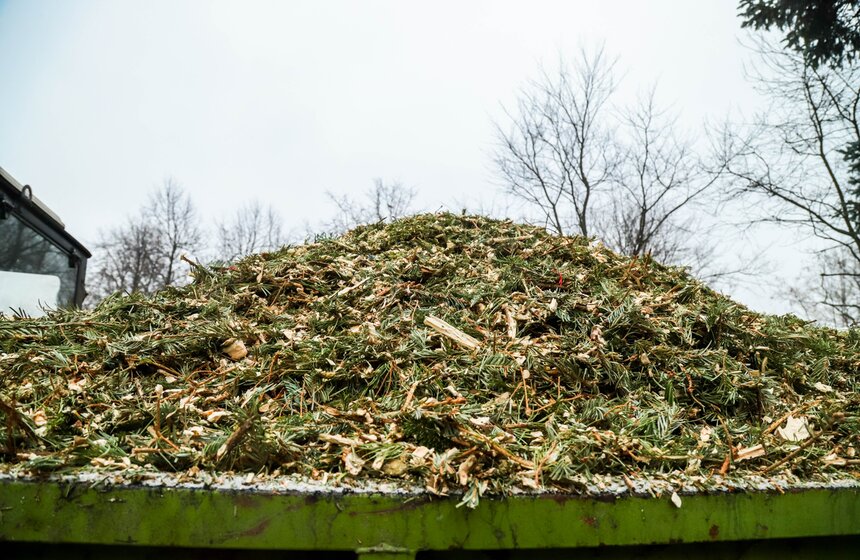 Акция "Елочный круговорот" проходит в Москве в восьмой раз 28 фото