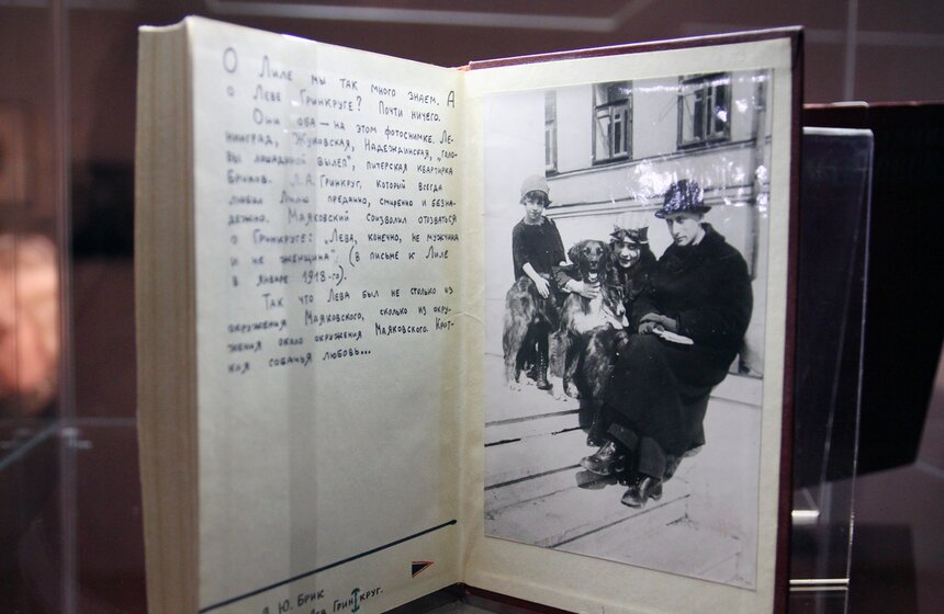 На выставке "Про это" расскажут о творчестве Владимира Маяковско 11 фото