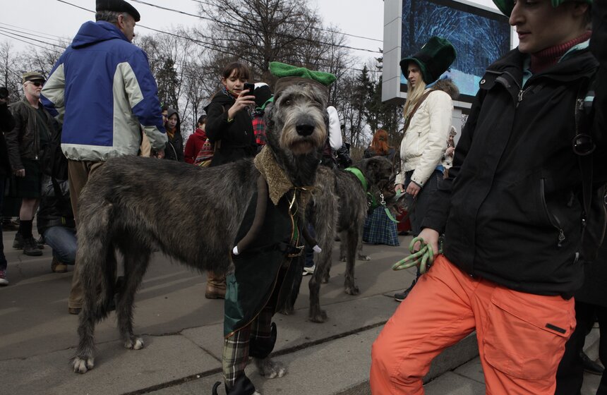 В Сокольниках прошел большой парад святого Патрика 9 фото