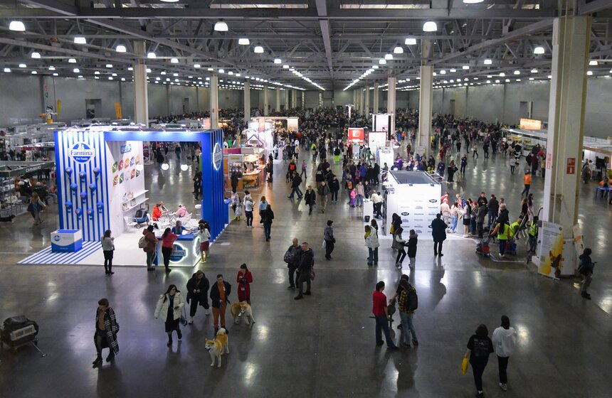 Выставка собак "Евразия 2023" завершится в Москве 19 ноября 22 фото