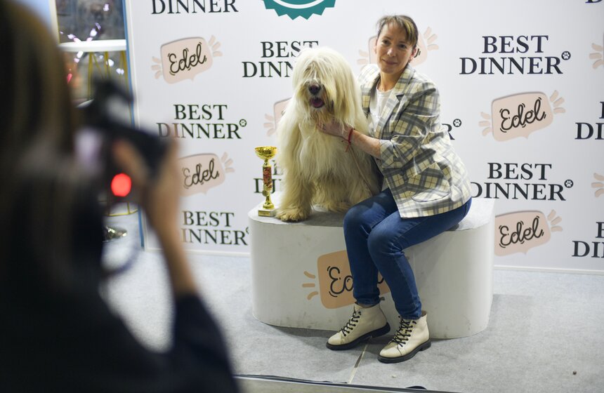 Выставка собак "Евразия 2023" завершится в Москве 19 ноября 11 фото