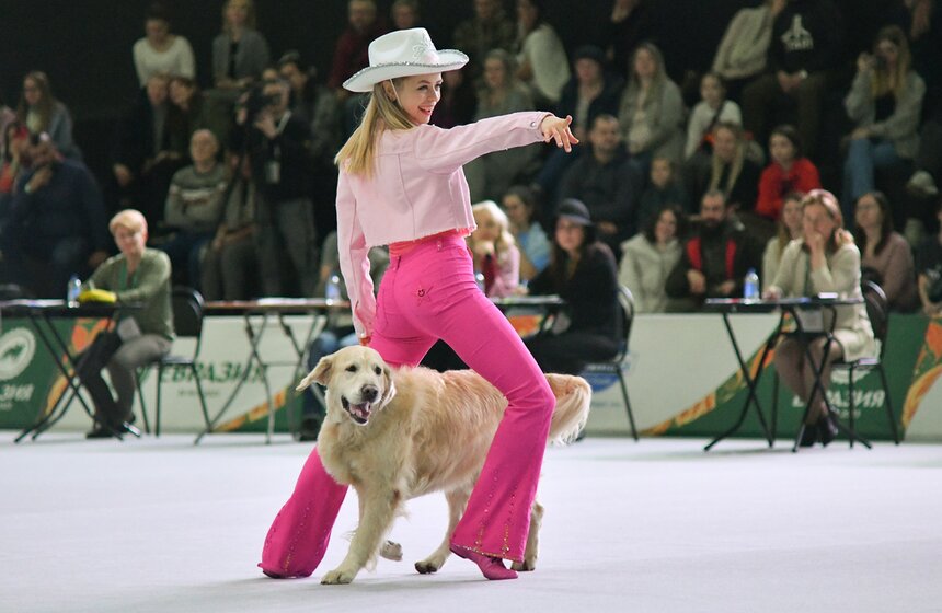 Выставка собак "Евразия 2023" завершится в Москве 19 ноября 9 фото