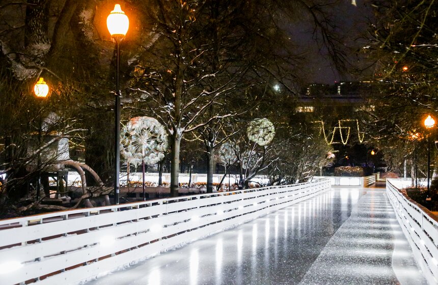 Каток в Парке Горького открылся 24 ноября в Москве 2 фото