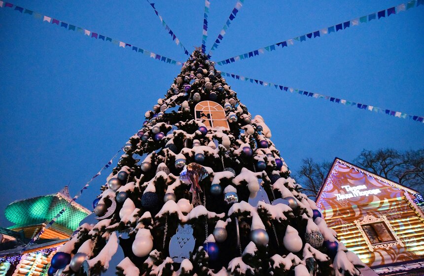 День рождения Деда Мороза отметили в столичной усадьбе волшебника 10 фото