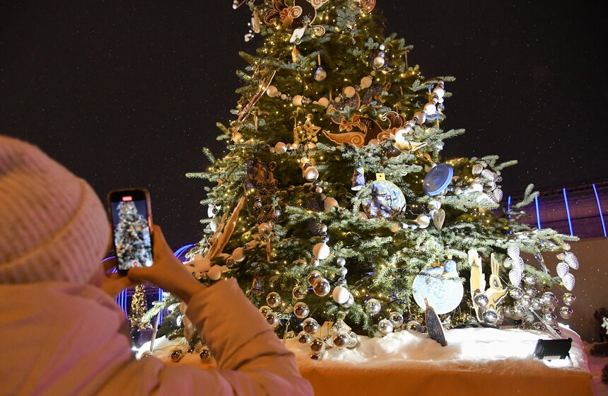 Елки 89 регионов России зажглись на ВДНХ 16 фото