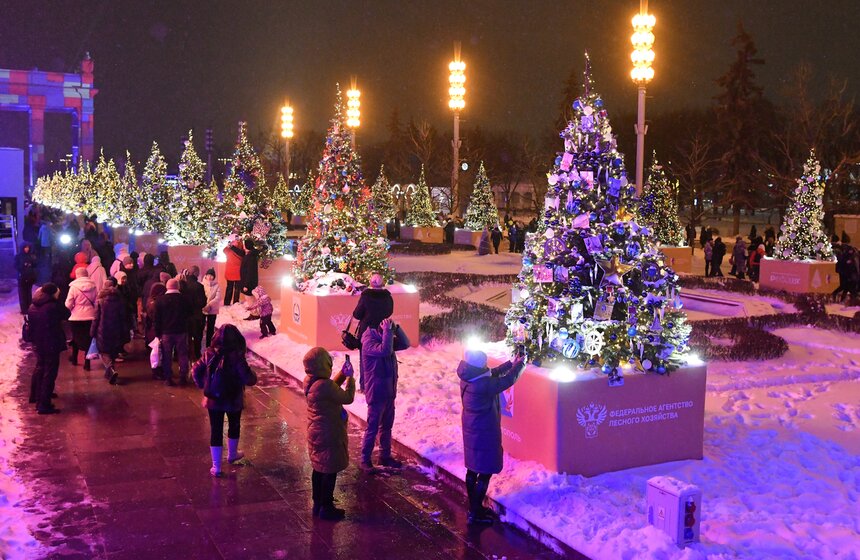 Елки 89 регионов России зажглись на ВДНХ 13 фото