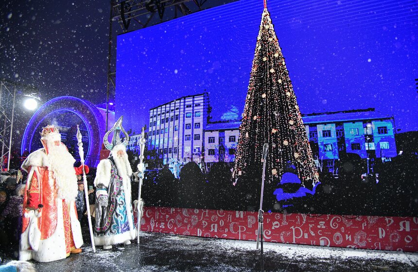 Елки 89 регионов России зажглись на ВДНХ 4 фото