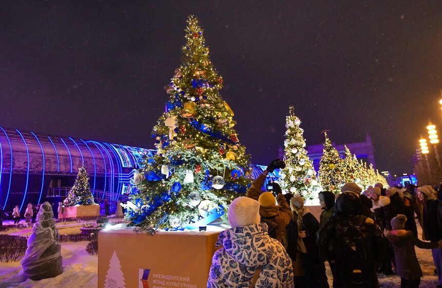 Елки 89 регионов России зажглись на ВДНХ 9 фото