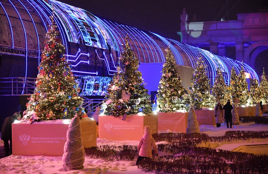 Елки 89 регионов России зажглись на ВДНХ 12 фото