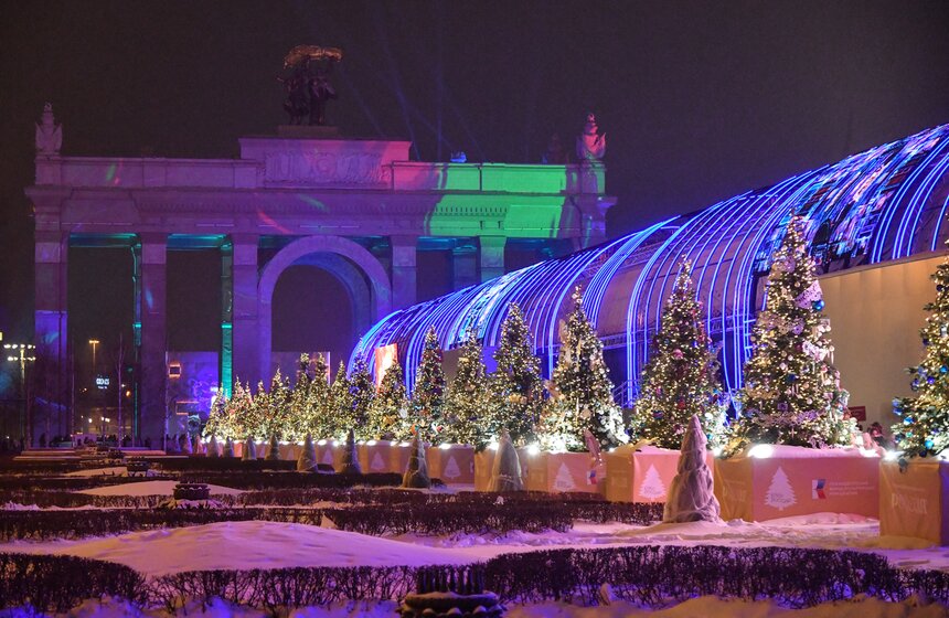 Елки 89 регионов России зажглись на ВДНХ 15 фото