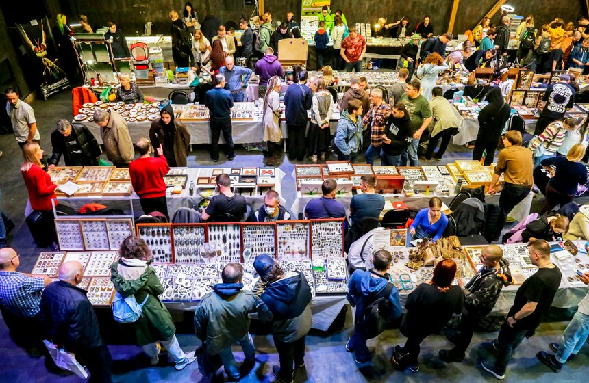 Выставка-ярмарка насекомых прошла в Москве 22 фото