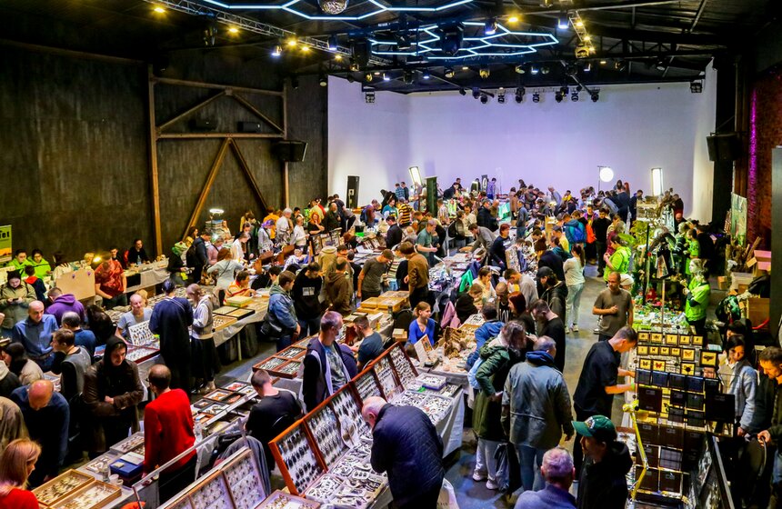 Выставка-ярмарка насекомых прошла в Москве 1 фото