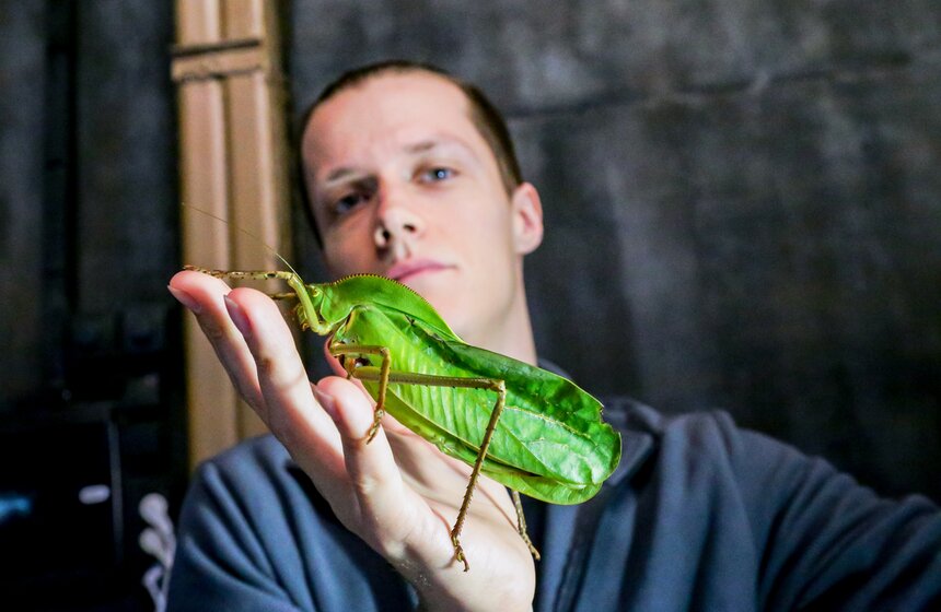 Выставка-ярмарка насекомых прошла в Москве 8 фото