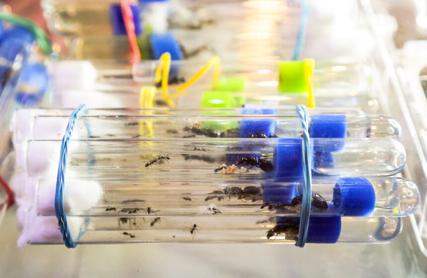 Выставка-ярмарка насекомых прошла в Москве 5 фото