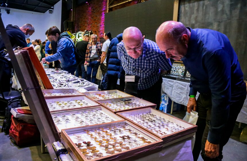 Выставка-ярмарка насекомых прошла в Москве 3 фото