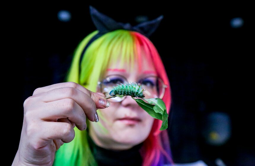 Выставка-ярмарка насекомых прошла в Москве 4 фото