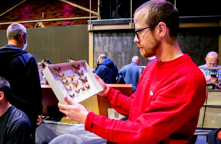 Выставка-ярмарка насекомых прошла в Москве 16 фото