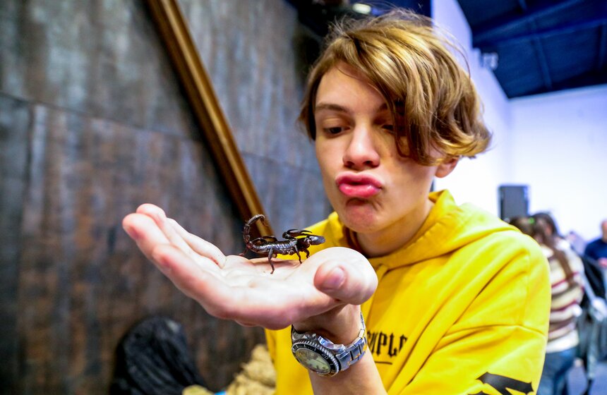 Выставка-ярмарка насекомых прошла в Москве 11 фото