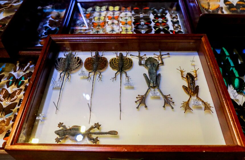 Выставка-ярмарка насекомых прошла в Москве 21 фото