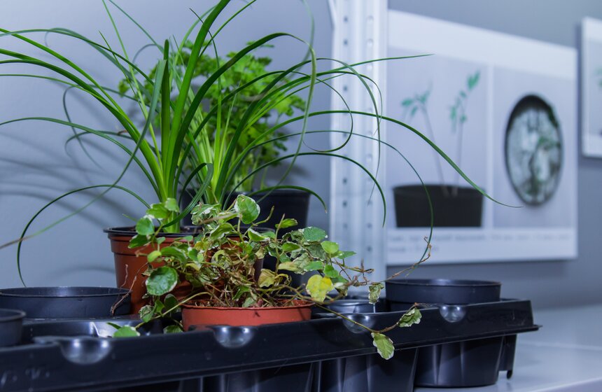 В ММСИ представили проекты, объединенные темой "VisualPower" 6 фото